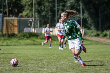 Bild 356 - wBJ Hamburger SV - VfL Wolfsburg : Ergebnis: 5:1